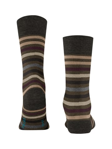 Falke Socken Tinted Stripe in Beech