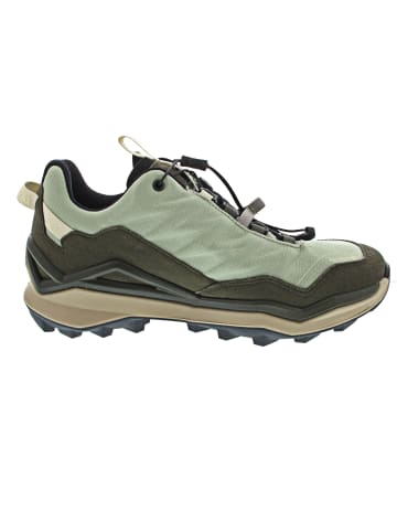 LOWA Maddox Pro GTX Lo SL Ws Wanderschuh Grün