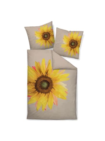 Janine Bettwäsche 42162-03 in gelb sand