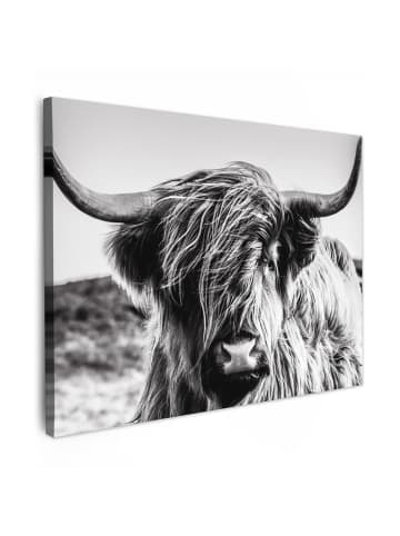MuchoWow Leinwand bilder Schottisches Hochlandrind (BxH)