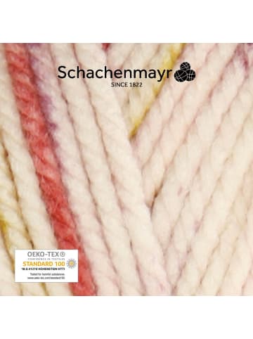 Schachenmayr since 1822 Handstrickgarne Bravo Big Color, 200g in Girly