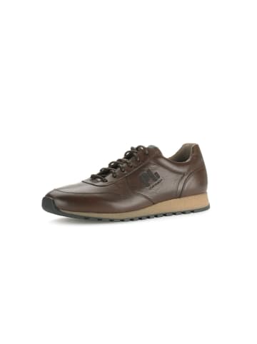 Pius Gabor Sneaker low in braun