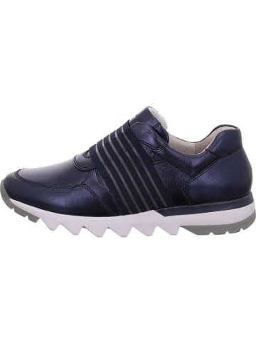 Gabor Sneaker in blau