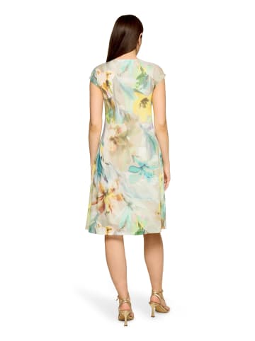 Betty Barclay Mesh-Kleid mit Raffung in Mint/Nature