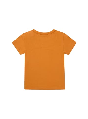 Noppies T-Shirt Ostra in Golden Oak