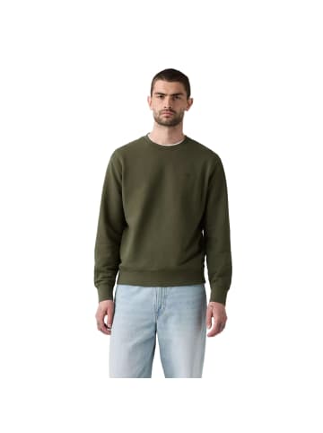 Levi´s Sweatshirt 1er Pack in Grün