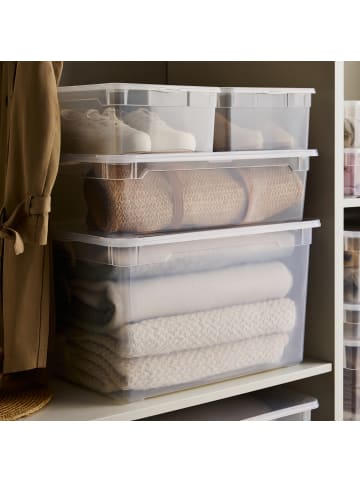 Rotho 3er Set Box Men Shoe CLEAR