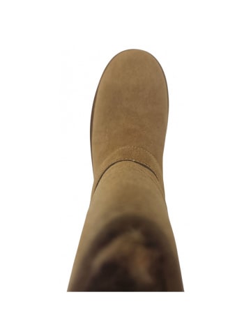 Guess Schaftstiefel  Dolsay in Braun