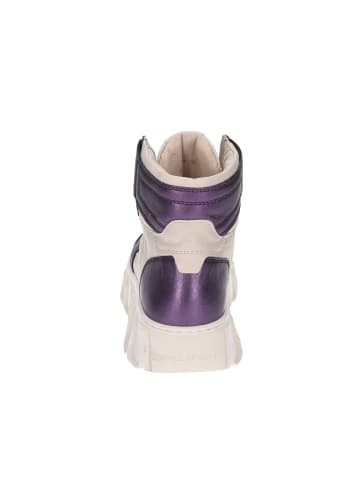 Apple of Eden Schnürschuh in lila