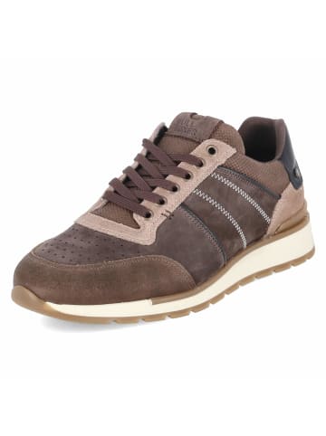 Bullboxer Schuh in brown