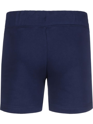 Nike Shorts in blue void/arctic punch