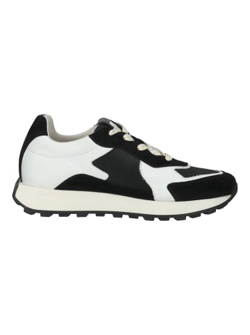 Bullboxer Sneaker in Schwarz/Beige