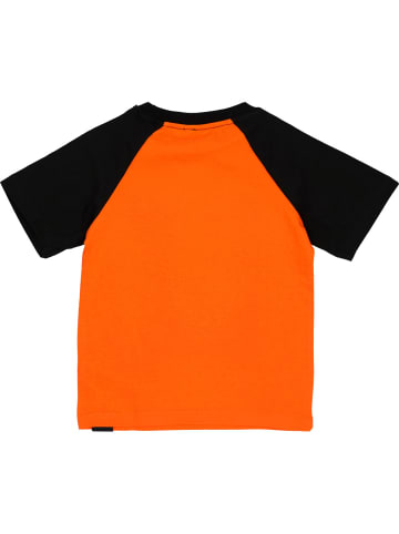 Dragon Ball Sets Goku in multicolor