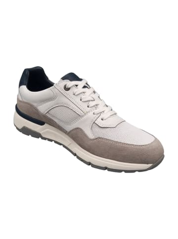 Camel Active Sportliche Schnürschuhe in Weiß