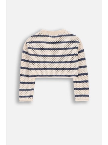 Coccodrillo Lochmusterpullover in dunkelblau