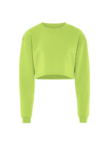 hoona Sweatshirt in Saure Limette