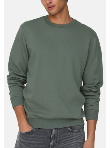 ONLY & SONS Sweatshirt Ceres in Grün