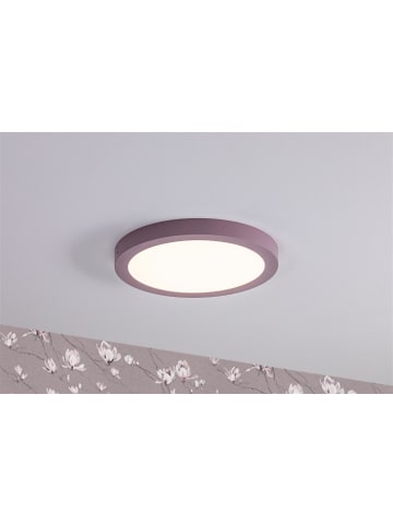 paulmann LED Panel Abia Pastell rund 22W in Violett