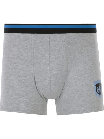 Jan Vanderstorm 3er Pack Retropants VELJOR in grau