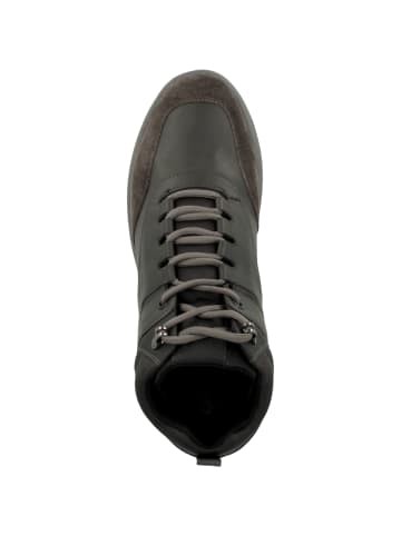 Geox Sneaker mid U Antelao B WPF B in braun