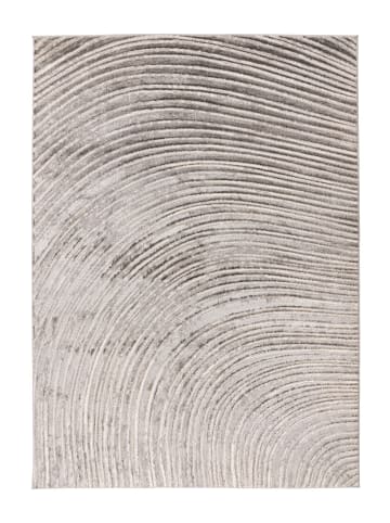 Vivorum Wohnzimmer Teppich – Kurzflorteppich Chalk 425 in silber - beige