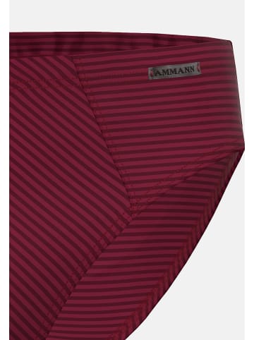 Ammann Slip / Unterhose Cotton & More in Bordeaux