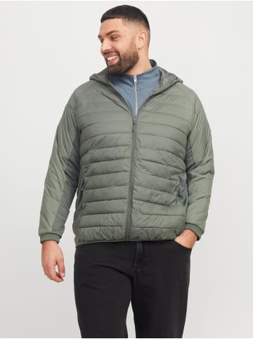 JACK & JONES PLUS Steppjacke in Agave Green