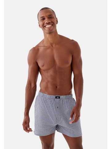 DANISH ENDURANCE Boxershorts Organic Woven in blue/stripes mix