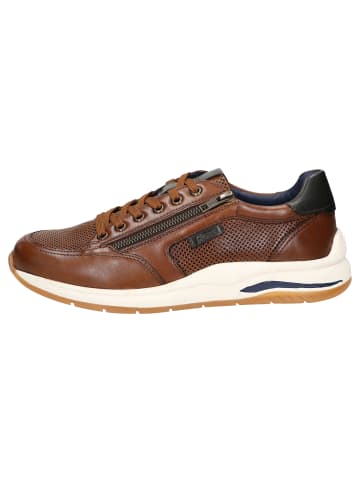 Sioux Sneaker Turibio-710-J in cognac