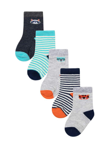 Minoti 5er-Set: Kurzsocken NBB SOCK 48 in grau