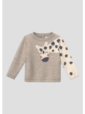 s.Oliver Strickpullover in 84W0_sandstein