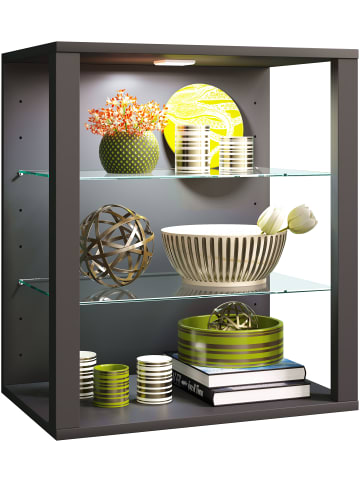 VCM Holz Glas Stand Vitrine Sammelvitrine Glasol SW in Anthrazit