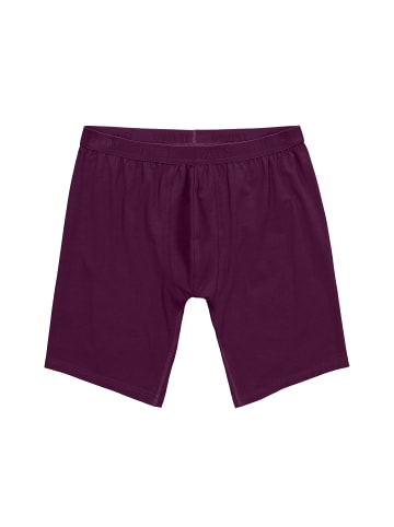 JP1880 Slip in dunkle traube