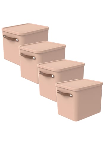 Rotho MALOJA Ordnungsboxen 4er-Set 27l mit Griffen stapelbar in Meadow rose
