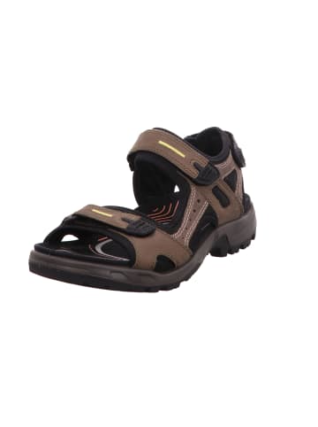 Ecco Outdoorsandalen Offroad in tarmac/moon roc