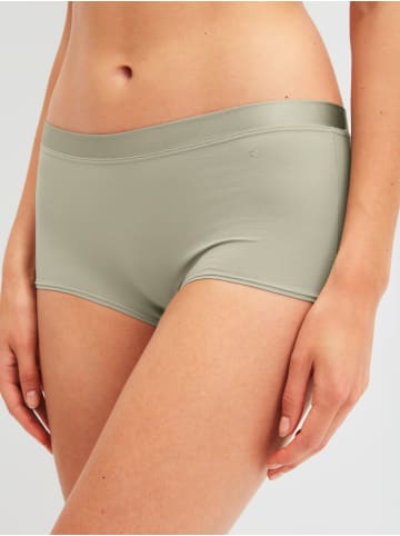 Calida Panty in tea green