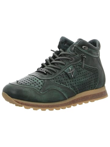 Cetti Sneaker in grün