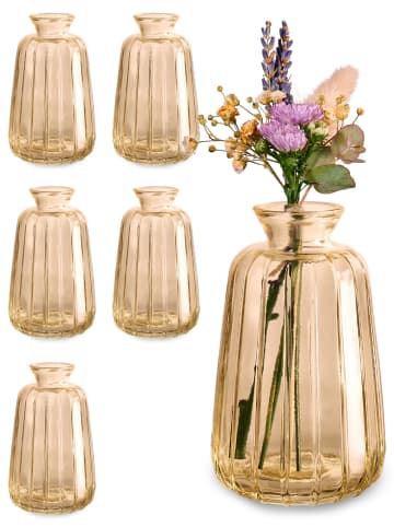 Praknu Kleine Glasvasen für Tischdeko - 6er Set - Vintage Charme - Runde