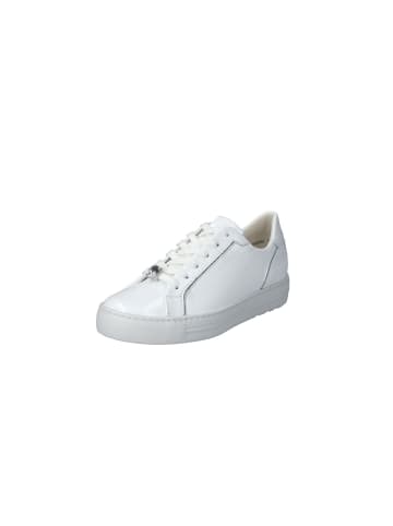 Paul Green Schnürschuhe in white/silver