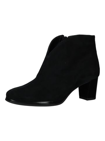 ara Stiefelette in Schwarz