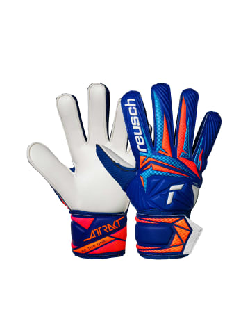 Reusch Torwarthandschuhe Attrakt Solid Junior in 4126 sharp blu/wht/shock orng