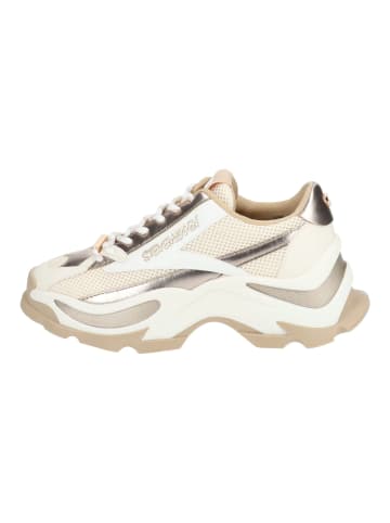 Steve Madden Sneaker in Rosegold