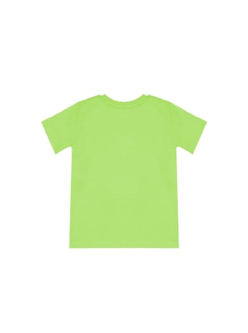 Denokids Set Green Pirate in gruen