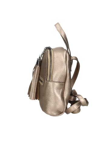 Gave Lux Rucksack in BRONZE
