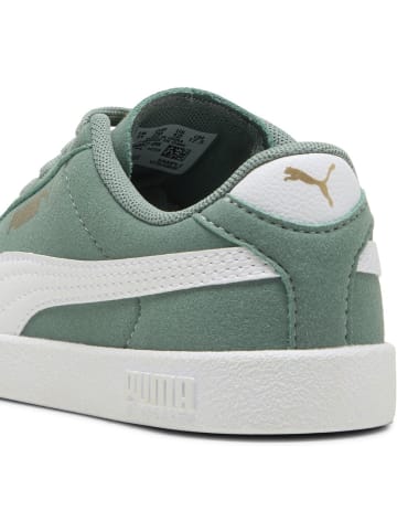 Puma Kinder Sneaker "Club II PS" in Grün