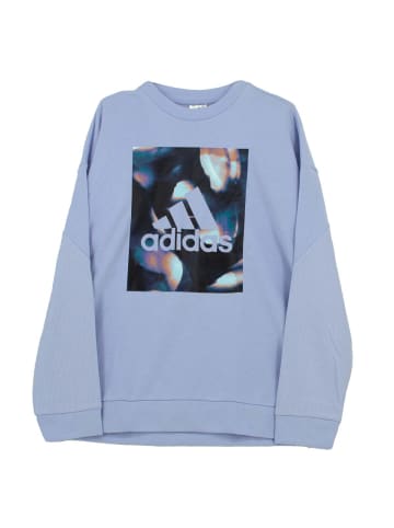 adidas Pullover Uforu Swt in Lila