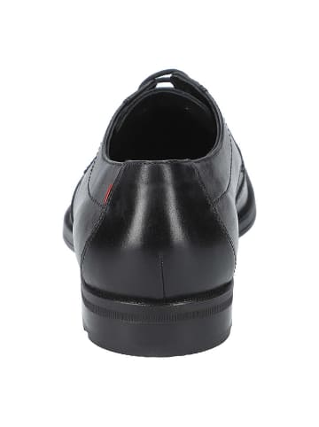 LLOYD Schnürschuhe Farley in BLACK