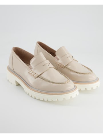 Paul Green Slipper in Beige