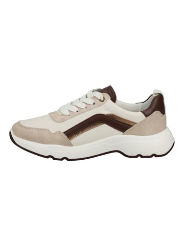 ara Sneaker in Beige/Mocha