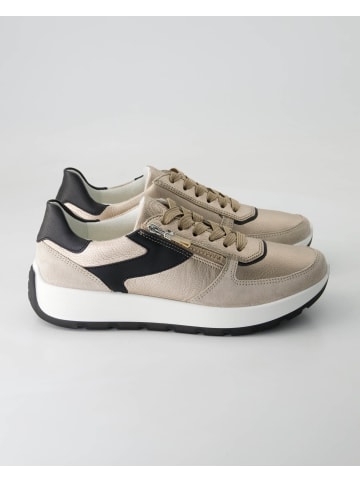 Ara Shoes Sportliche Schnürschuhe in Beige